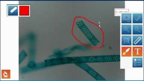 Image Capture with SPARKscience