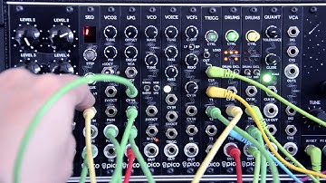 Erica Synths -Pico VCO 2/Pico LPG (Low Pass Gate )Demo