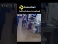 Real Security Camera Footage Only