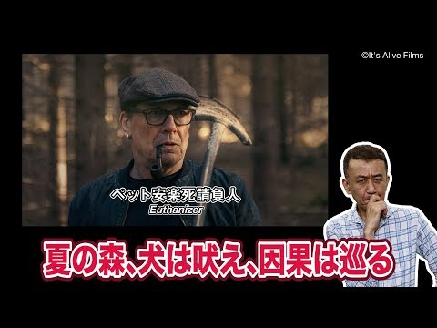 ペットの安楽死、正しいタイミングと当日の流れを徹底解説