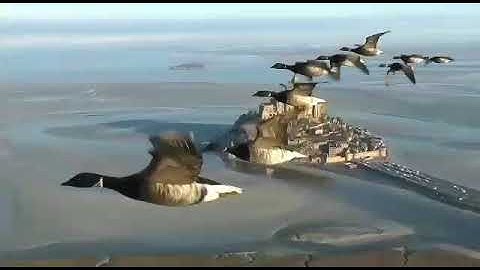 جمال التلاوة مع جمال الطبيعية للقارئ محمد الجعيدي