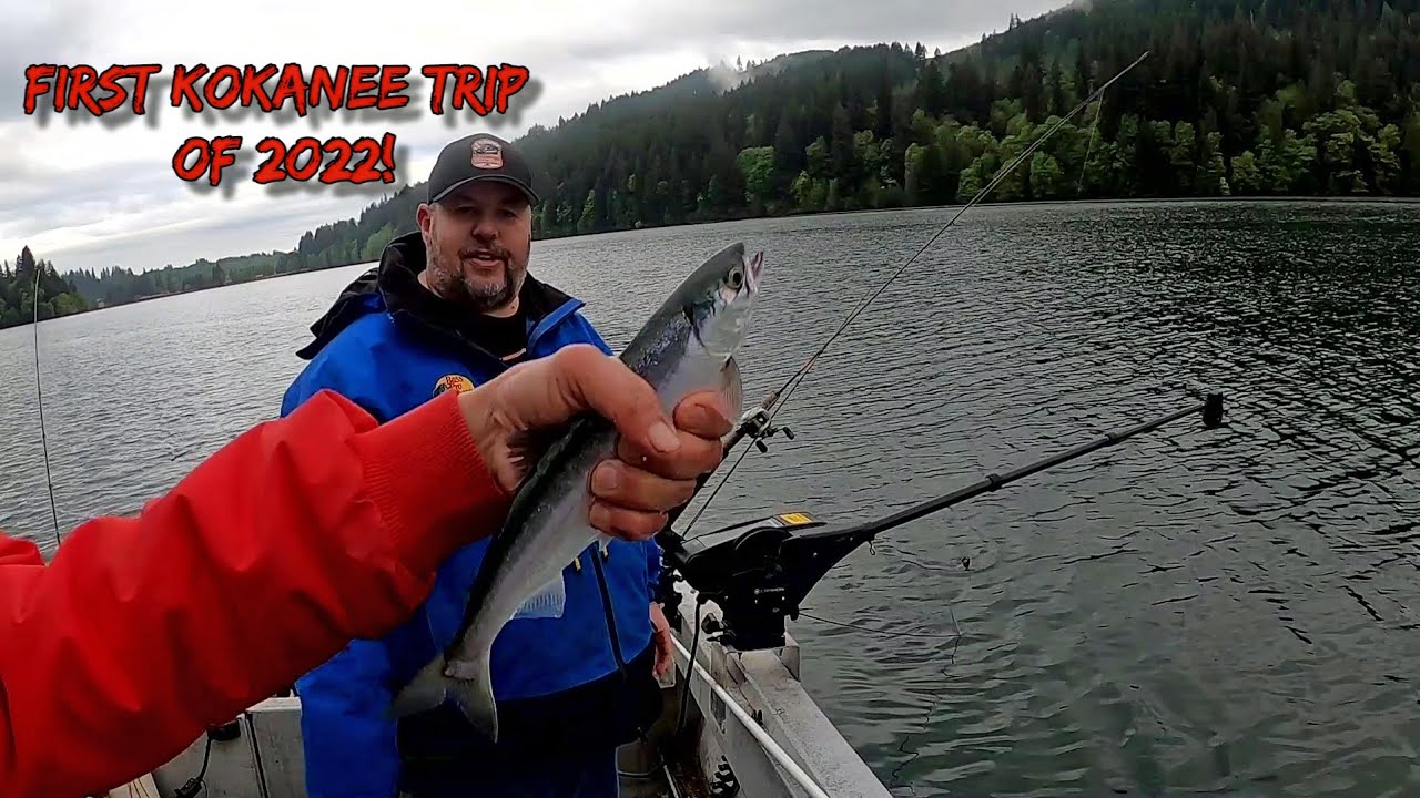 Kokanee Fishing First Trip of 2022 Lake Merwin YouTube
