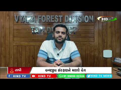 સોનગઢમાં જંગલી મરઘીઓની વસતિમાં વધારો