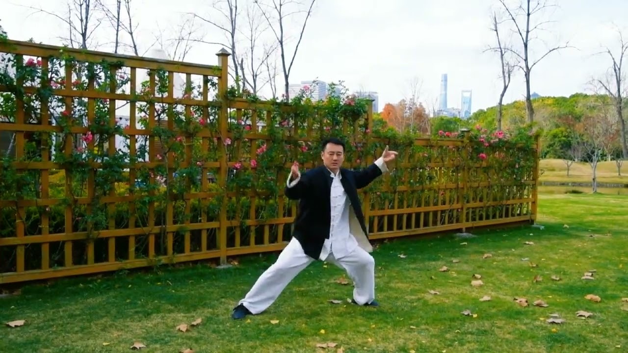 拳打万遍，身法自现。#武术 #太极拳 #太极拳张彦飞 #强身健体 