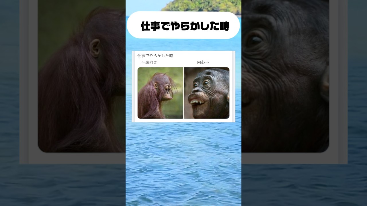 仕事でやらかした時