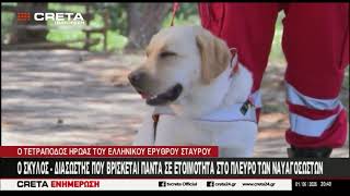Ο σκύλος - διασώστης  που βρίσκεται πάντα σε ετοιμότητα δίπλα στους ναυαγοσώστες