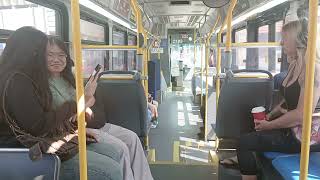 HSR 2021 nova LFS CNG 2103 on route 1 King to Eastgate square  