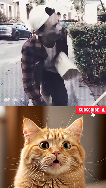 NGAKAK BANGET! Kucing Kaget Nonton Ending Kunci Ini! 😂 #kucing #meme #menari #tren