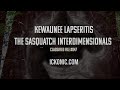 Classified File #0047: Sasquatch, Particle Accelerators, and New Mexico's Secrets - Ickonic.com