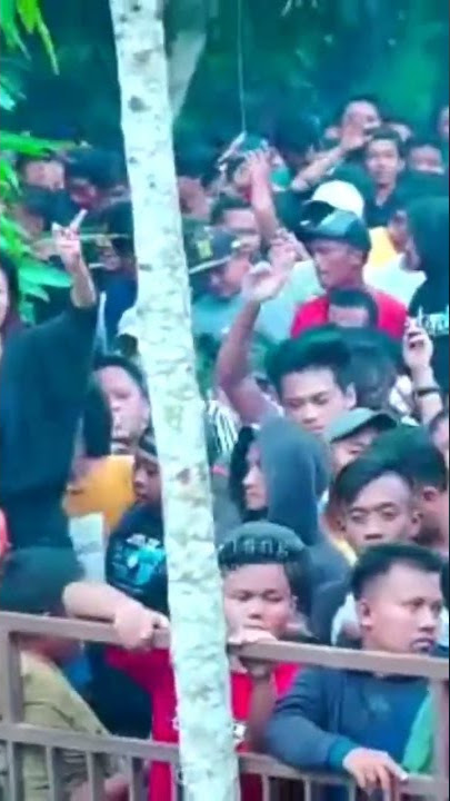 care bebek maya sabrina #storywa #viral