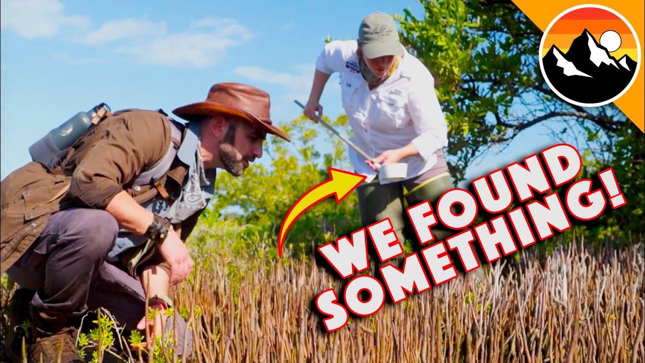 Coyote Peterson - BREAKING NEWS: Leaking pics here before