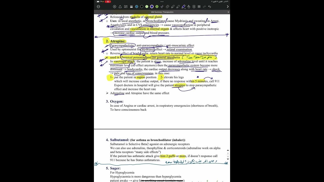 Dental therapeutics midterm revision part 1 YouTube