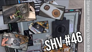Speaker Hunting Video #46 | Philips flat woofers, Metz TV, Jamo subwoofer & MORE!