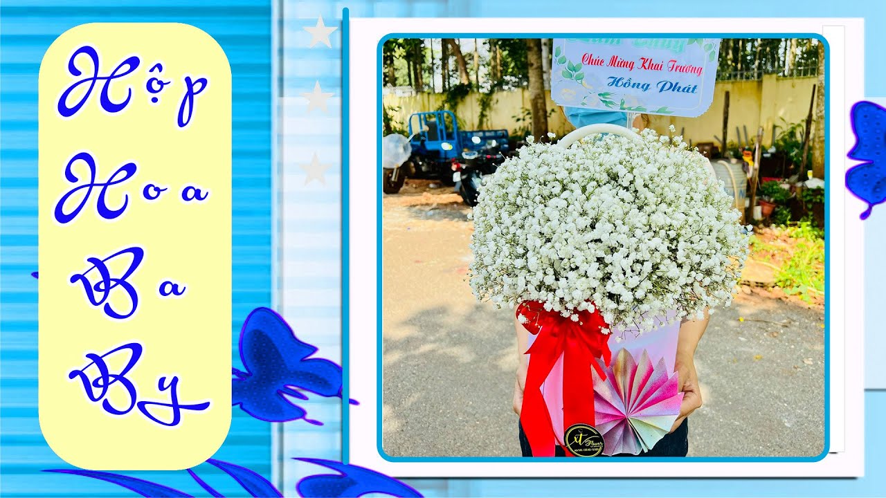 Hướng Dẫn Cắm Hộp Hoa BaBy Đơn Giản/K_Flower/# - youtube