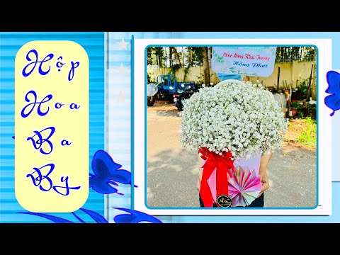 Video Hướng Dẫn Cắm Hộp Hoa BaBy Đơn Giản/K_Flower/# - youtube