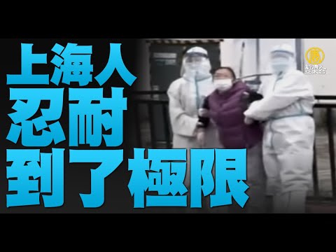 ?台湾安全对世界重要！美重量级国会团见总统｜《上海人的忍耐到极限》文章封不住｜李明哲顶白发返台｜马斯克发声！全拿下推特只为1原因｜午间新闻【2022年4月15日】@新唐人亚太电视台NTDAPTV