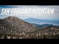 Hiking San Gorgonio Peak via the Vivian Creek Trail