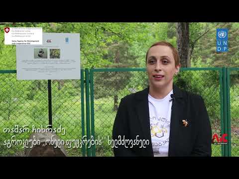 SDC-AIC-UNDP ინოვაციების მხარდამჭერ საგრანტო კონკურსში გამარჯვებული აგროკლუბი –,,ონელი ფუტკრები''