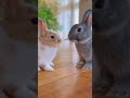 最後キスするの草 #ウサギ #うさぎ #Rabbit #癒し動画 #草 #草生える #尊い #可愛すぎる #動物好きな人と繋がりたい #ショート動画 #うさぎのいる暮らし #癒しタイム
