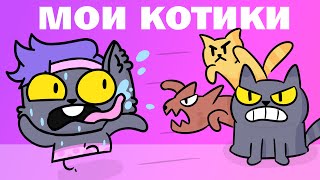 Мои КОТЫ МЕНЯ НЕНАВИДЯТ - Мои КОТИКИ (Анимация)