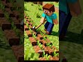 Minecraft Animasyon | Steve ve Alex tarla yapıyor