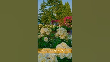 قال قرينه ربنا ما أطغيته ولكن كان في ضلال بعيد...// تلاوة بنبرة حزينة ومؤثرة // أجمل المقاطع الدينية