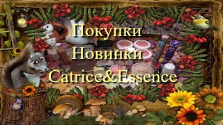 видео: Покупки косметики 🍁 Новинки Catrice и Essence картинка: Покупки косметики 🍁 Новинки Catrice и Essence