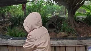 オーストラリアシリーズ＿シドニー動物園Vol1