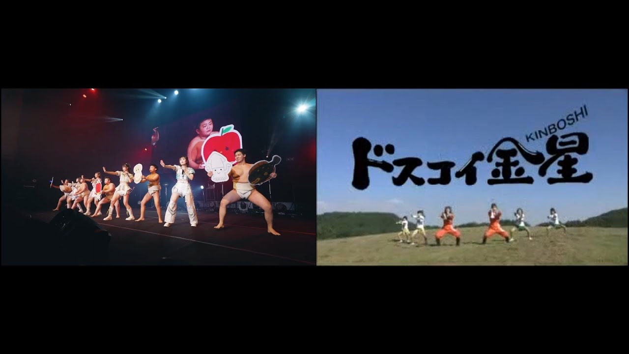 ドスコイ金星　りんご娘LIVE & りんご娘MV