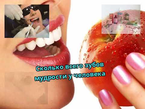 Сколько всего зубов мудрости у человека