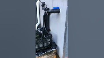 Sunday Update - Turtle Tank Filtration DIY