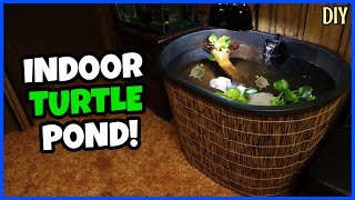 DIY Indoor Turtle Pond Setup!