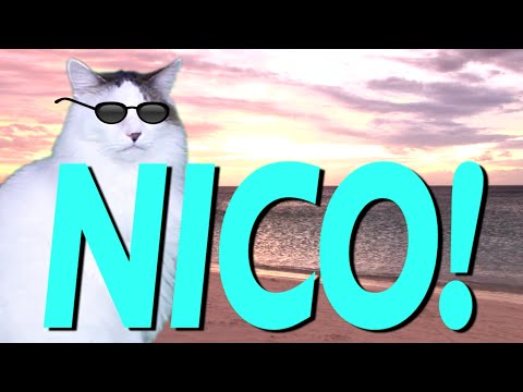 HAPPY BIRTHDAY NICO EPIC CAT Happy Birthday Song