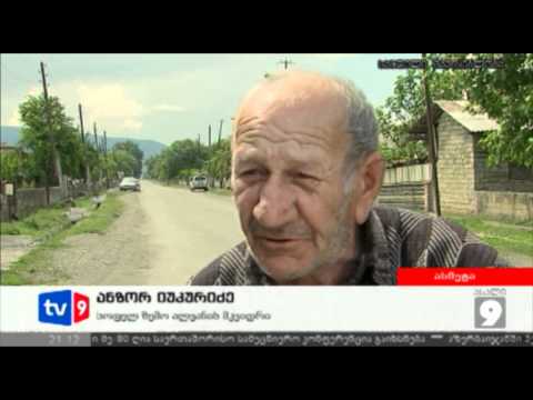 ახალი 9 | კალიების შემოსევა | 09.05.12