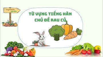 Từ Vựng Tiếng Hàn Chủ Đề Rau Củ (Vegetables): Học Tiếng Hàn Theo Chủ Đề