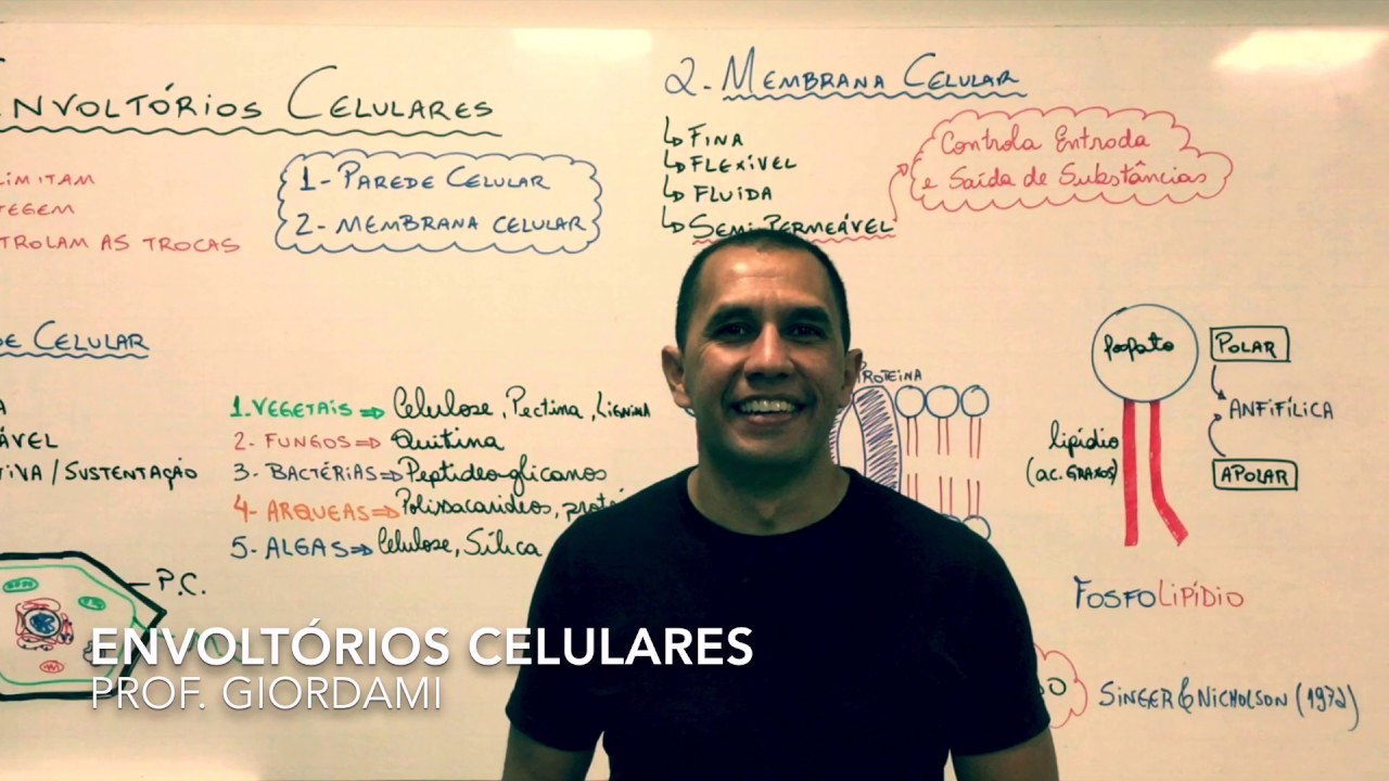 Envoltórios Celulares