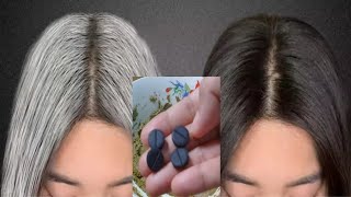 White Hair To Black Hair With Herbs | White Hair Dye With Charcoal | Gray hair dye แก้ผมหงอก