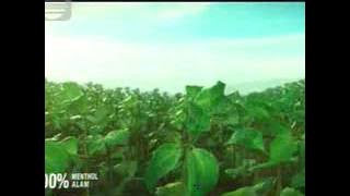 Download lagu Indosiar La Manthol 21 35 (27/03)