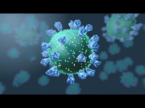 3D Animation: How Do I Protect Myself From Coronavirus, COVID-19?