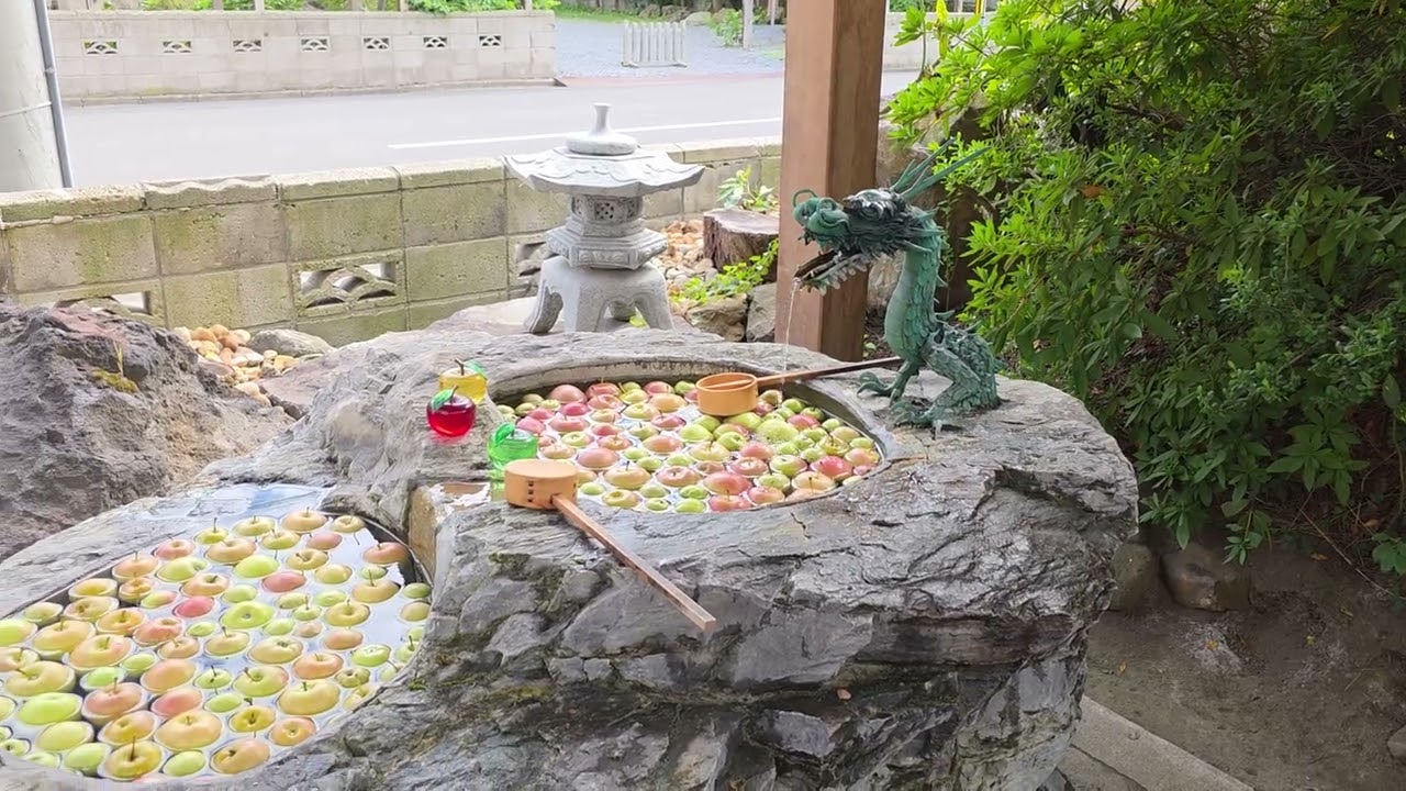 2025 Seattle to Yokohama Japan cruise on Holland America Westerdam