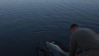 Летняя рыбалка у Звягина на пруду Головищи