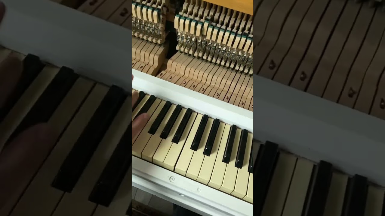 Another new improvisation🎹🎼💙💛 