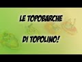 Le topobarche di topolino