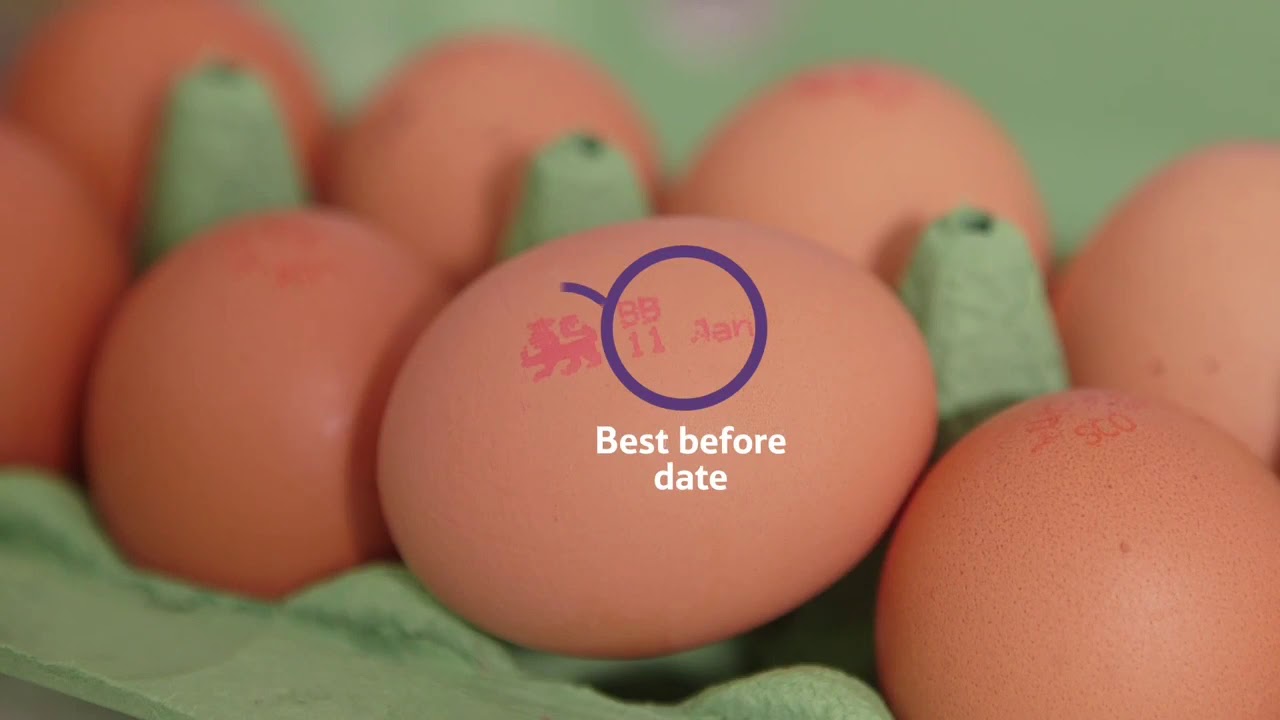 Excellent eggs - YouTube
