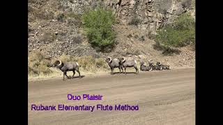 Duo Plaisir from Rubank Elementary Flute Method