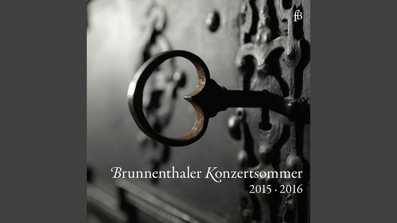 Recorder Concerto in C Minor, RV 441: I. Allegro non molto