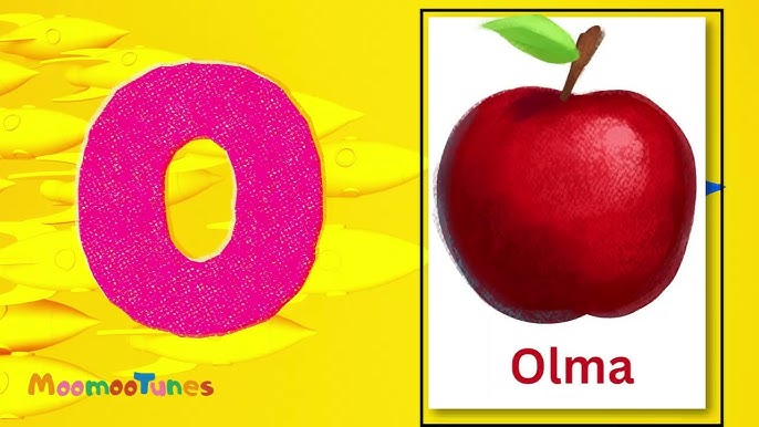 Toliq analni tugatdi