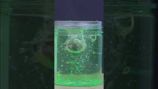 Cutting Straws for a Swirling Galaxy Jar Magic! 1