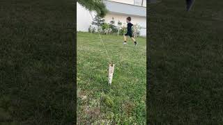 Baba oğul futbol😎