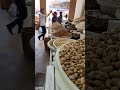 عصافير تاكل الكاجو جرازات حاج شاكر اربيل 